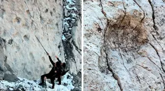 İtalya'daki bir dağda binlerce dinozor ayak izi keşfedildi: 'Muazzam bir bilimsel hazine'