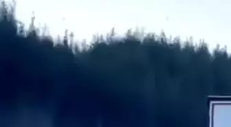 Kamyonun sollama manevrası kazaya neden oluyordu: O anlar kamerada