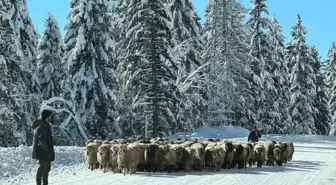 Karla kaplı yaylalarda dönüş yolculuğu