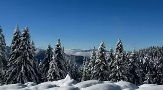 Çambaşı Yaylası'nda Karla Kaplı Güzel Görüntüler