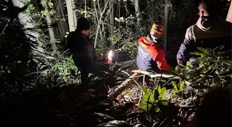 Sakarya'da kesim esnasında üzerine ağaç devrilen orman işçisi yaralandı