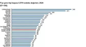 TÜİK: 'Satın Alma Gücü Paritesi'ne göre kişi başına GSYH endeksi 72 oldu