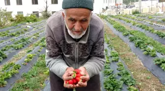 Türkiye onu yoldan geçenlere bahçesinden ikram ettiği meyvelerle tanıdı, bugün acı haber geldi