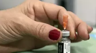 'Türkiye'ye Biontech aşısı gelmedi iddiasına' yalanlama