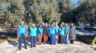 Yatağan'da zeytin hasadı ve bereket duası yapıldı