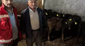 19 Mayıs'ta hayvan sağlığı çalışmaları sürüyor