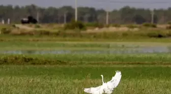 Çin'in Xinjiang Bölgesinde Su Koruma Projelerinin İnşasına 5,6 Milyar Dolar Yatırım Yapıldı