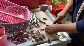 Doğru bilinen yanlışı uzmanı açıkladı: 'Gözüne bakıp tazeliğini anlarım diyen yalan söyler'