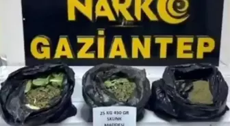 Gaziantep'te 22 kilo skunk ile çok sayıda silah ele geçirildi: 7 gözaltı