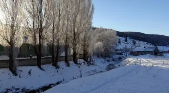 Kars, Ardahan ve Ağrı'da dondurucu soğuklar etkisini sürdürüyor