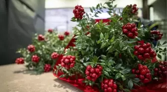 Kokina suya konulur mu?