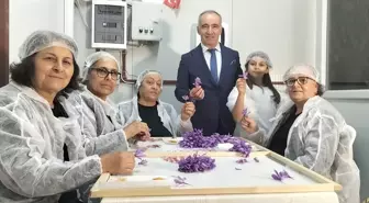 Mali müşavir kurduğu tesiste topraksız safran üretimi yapıyor