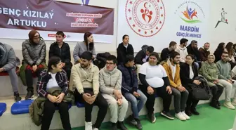 Mardin'de özel bireylere yönelik hayata geçirilen projenin kapanışı yapıldı