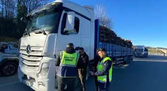 OGM'den kaçak kesimlere karşı 7/24 koruma