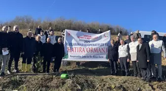 Samsun'da 'Uluslararası Kooperatifler Yılı' kapsamında hatıra ormanı oluşturuldu