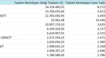 Samsun'un 'vergi yüzsüzleri' açıklandı