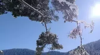 Sarıçiçek Göleti buz tuttu