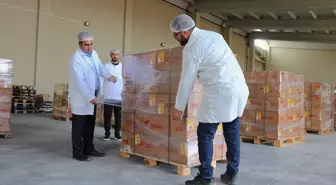 Vanlı arıcı Dubai'ye 16,5 ton petek bal gönderdi