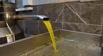 Zeytinyağı fiyatları belli oldu, fiyatlarda artış yaşandı