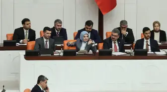 Bütçe görüşmeleri sürerken Genel Kurul'da 'Leyla Zana' kınaması