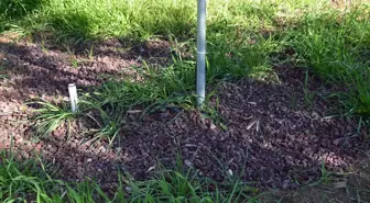 'En iyi su hasadı deposu; toprak'