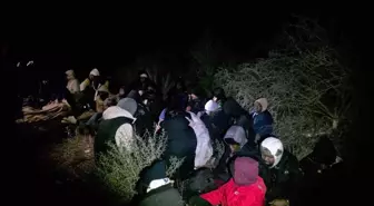 İzmir'de SİHA ve radar destekli operasyon: 79 düzensiz göçmen yakalandı