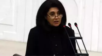 Leyla Zana olayı nedir?