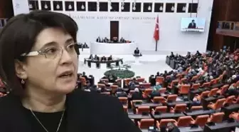 Leyla Zana polemiği Meclis'e taşındı! Özlem Zengin: Soruşturma başlatılmalı