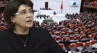 Leyla Zana polemiği Meclis'e taşındı