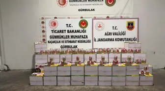 TIR'daki kavanozlardan 163,9 kilo eroin çıktı