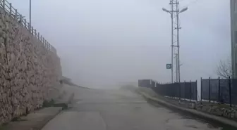 Amasya'da sis etkili oldu