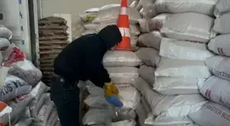 Ardahan'da esnaf soğuk havada yiyecek bulamayan güvercinleri imece usulü besliyor