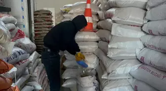 Ardahan'da esnaf soğuk havada yiyecek bulamayan güvercinleri imece usulü besliyor