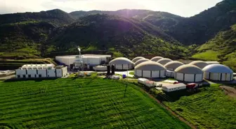 ARF Bio halka arz oluyor