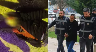 Arkadaşını silahla öldürdü! Cinayeti bu sözlerle itiraf etti