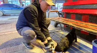 Bu taksi durağı esnafın hayvan sevgisi ile öne çıkıyor