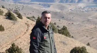 Doğu'da 9 milyon tohum ve fidan toprakla buluşturuldu