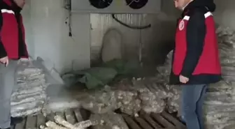 Manisa'da 4 milyon liralık bozuk kokoreç imha edildi