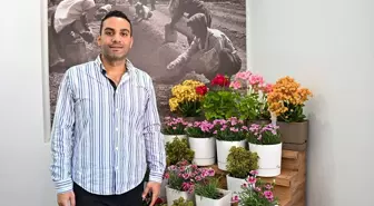 Sardunyanın yerli çeşitleri geliştirilerek sektöre kazandırılacak