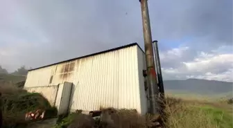 Tavuk çiftliğinde çıkan yangın korkuttu