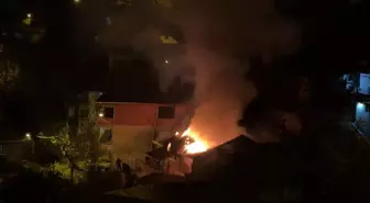 Yanan evden mahsur kalan papağanı itfaiye kurtardı