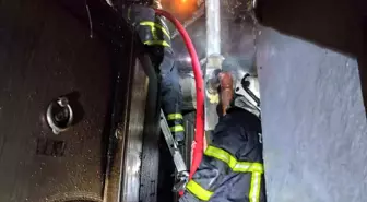 Zonguldak'ta alevler geceyi aydınlattı, itfaiye papağanı yangın ortasından kurtardı