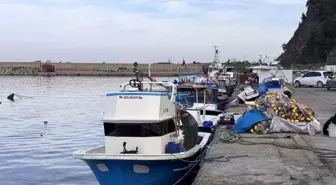 Zonguldak'ta hamsi yoğunluğu yaşandı, palamut çıkmadı