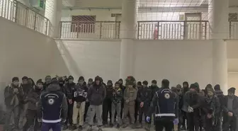 Amasya'da 37 düzensiz göçmen yakalandı