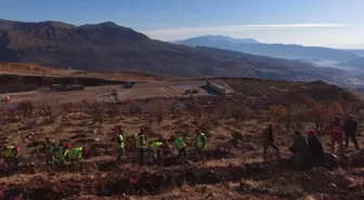 Gabar'da fidan dikim seferberliği