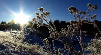 Kars ve Ardahan'da soğuk hava etkisini sürdürüyor