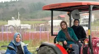 Kentten kırsala dönüp yaban mersini yetiştiren kadınlar, hemcinslerinin de bütçelerine katkı sağlıyor