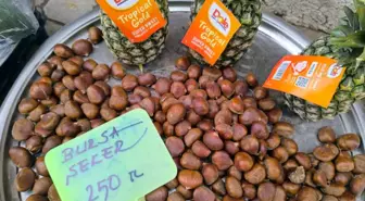 Kestane fiyatıyla yüzleri güldürdü