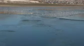 Van'daki Sıhke Gölü'nün yüzeyi kısmen buzla kaplandı
