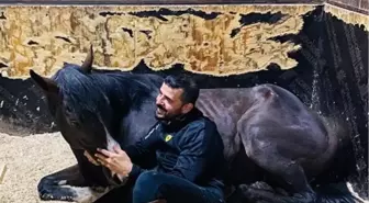 2,5 yıldır gözü gibi baktığı atını kaybetti, hikayesini kitaplaştırdı